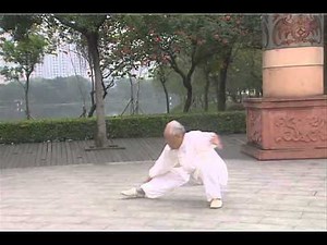 BaGua Zhang Sun ZhiJun ( 孙志君 八卦六十四掌 )