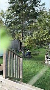 Quick Tree Removal: 16” Spruce Fell in 2 Minutes