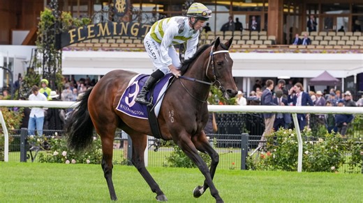 9.7K views · 65 reactions | WATCH: Inglis is thrilled to announce its runner in the 2025 $20m The Everest. | Inglis | Facebook