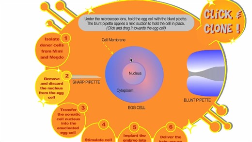 Gene Cloning (Somatic Cell Nuclear Transfer)