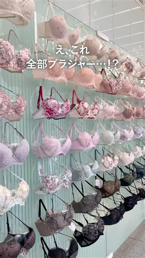 ワコール本社“ブラウォール” の商品入れ替えを実施しました♪