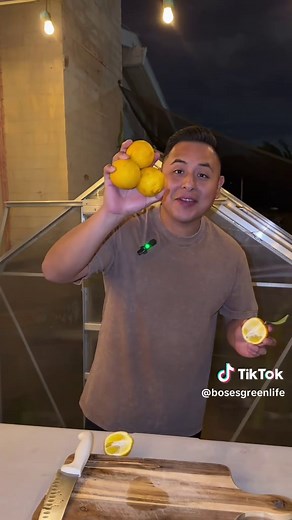 Is It an Orange or a Lemon? Discover the Difference