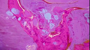 Contemporary fluid art, acrylic flow animation. Colorful liquid, oil paints, aquarelle dyeing motion. Watercolor mix texture close up. Blue, golden, pink and other colors spread on the surface Stock Video