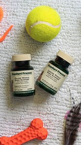 51 reactions · 3 comments | Good nutrition isn’t just for us. It matters for our pets too.  Talk to your veterinarian about including the right supplement for your furry friend. | Standard Process Inc. | Facebook