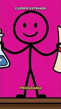 ¿Cómo se graba una manía en tu cerebro y qué técnica científica la desactiva?