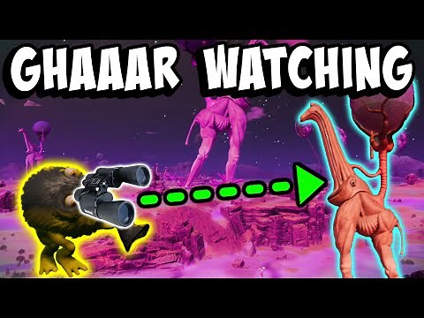 Observing the Great Ghaaar in the Eternal Cylinder Beta