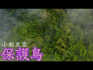 【朗読・短編ホラーSF】小松左京「保護鳥」