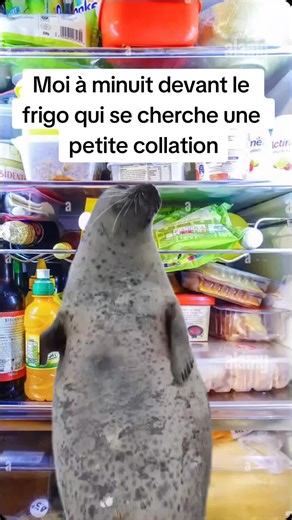 La Fringale de Minuit : Un Humour Bien Québécois