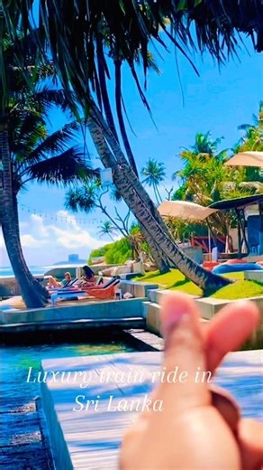 World’s Most Beautiful Train Ride? 🇱🇰 Colombo to Ella Luxury Train #travel #srilanka #train #cheap