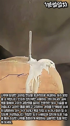 전문 목수가 알려주는 갈라진 나무 보수 꿀팁 #worker #process #woodcraft #skills #technique