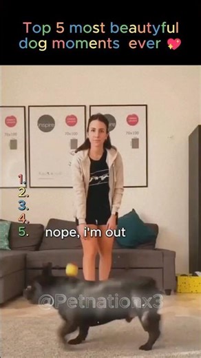 Top 5 Funniest Doggo Moments 😂🐶 | Try Not to Laugh!