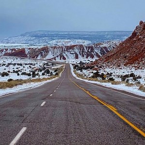 Burns & Co Auctions on Reels