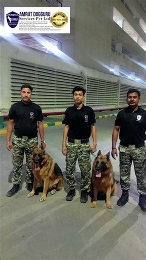 One Trained Dog = 30 Guards | Real Security Power | Dog Guru