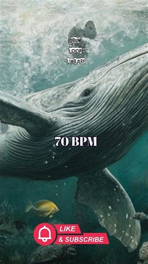 70 BPM Ballad Drum Loop – Soft and Straight