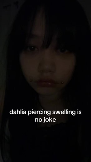 Dahlia Piercing Swelling Insights and Healing Tips