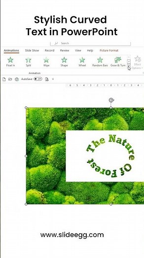 Stylish Curved Text in PowerPoint #slideegg