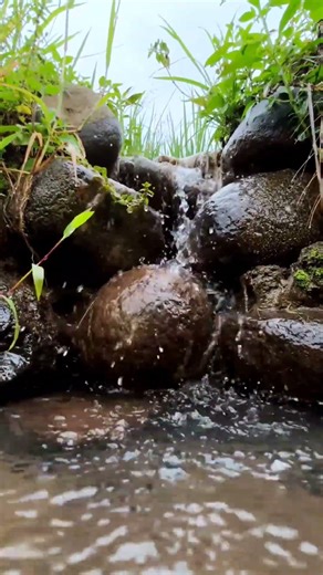 Relaxing Water Stream Sounds ASMR#asmr