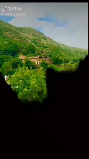 حسابات مقترحة