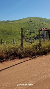 Estradas de chão e modão pra quem gosta.. #modaraiz #estradão #roca | Ricardo Cortez