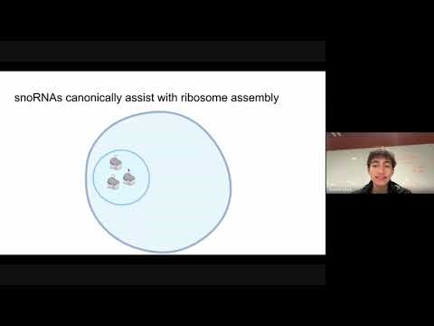Biology Junior Faculty Scholar Award Video