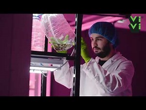 ViVi - New developments in Plant Tissue Culture