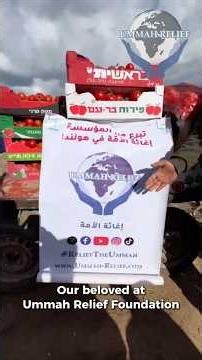 Food Package Project Gaza 🧺 Vegetable Basket Project Ramadān | 2nd Distribution Completed #Shorts