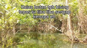Tiba tiba je bunyi serangga sunyi , biasa orang orang tua cakap ada harimau kawasan tu #reelsviralシ #trendingreels #wildlife | Ḿuhammad Safwaň STøne
