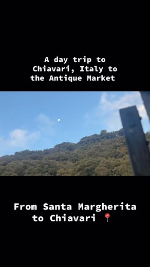 We took a day off today to explore the antiques market in Chiavari, Italy. Just being able to look around and get inspired for our projects helped the soul! #travel #rescuedog #chiavari #italy | 2 Traveling Dogs