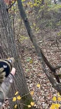 BLOWGUN HUNTING RABBIT!!! #hunting #wildlife