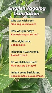 #education #learning #educational #English #students #learnenglish #basicenglish #basic #englishlanguage #studentenglish | Learning Tagalog English Translation