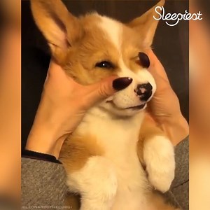 Nothing like a nice relaxing face massage before bed... 😂😴 | Sleepiest