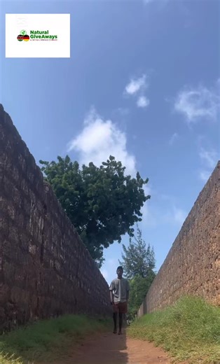 Pretty Mama on TikTok