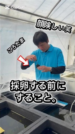 採卵前の打ち合わせ