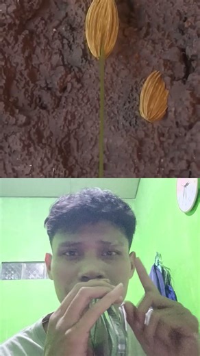 #filterchallenge #shorts #short