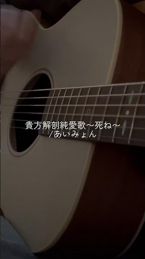 貴方解剖純愛歌〜死ね〜/あいみょん #弾き語り #アコギ弾き語り #ギター #アコギ #あいみょん
