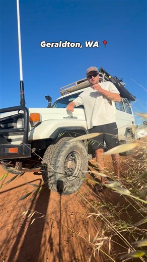 the leaning trees of aus | Jonny Charles