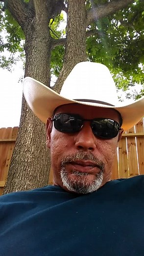 dumbo tree service on TikTok