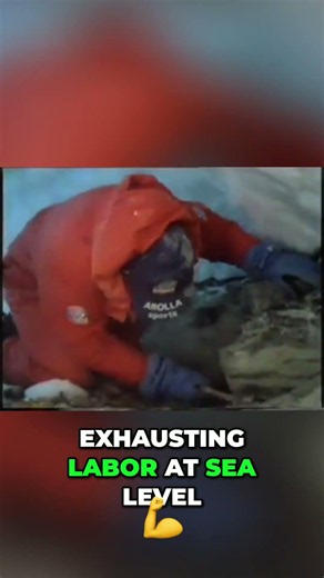 Everest Summit Push: Herculean Task at 24,000 Feet #shorts