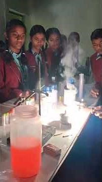 Science Lab Experiment by Class 8 Students | Practical Learning in Action
