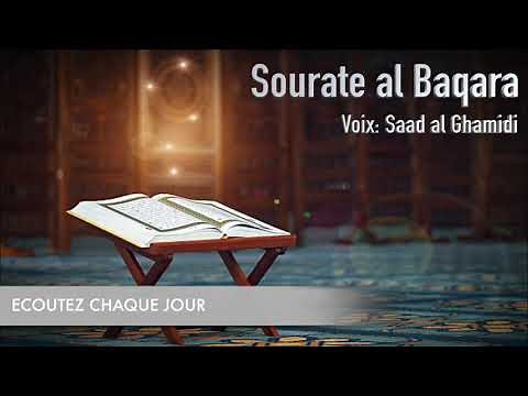 la meilleure protection sourate el baqara ( contre le mal, pour les enfants et la maison )