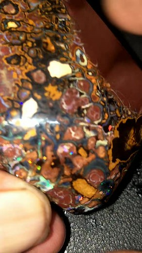 Shes the best 💕 check out the (ironstone matrix nut) showing the most amazing patterns here everyone 😋 this just come off the wheels this arvo dripping with black crystal😉😘😋 | Rocks Gems & Opals