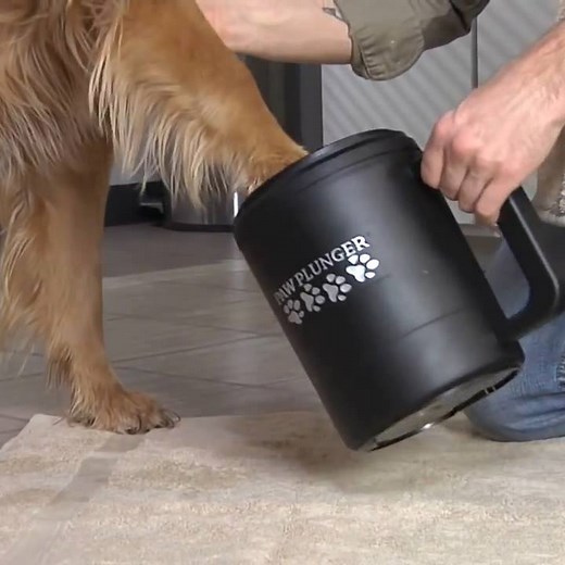 4.4M views · 6K reactions | How often do your pet's paws get dirty? Make it easier to clean up: chdr.tv/amazodbd4a | cheddar news | Facebook
