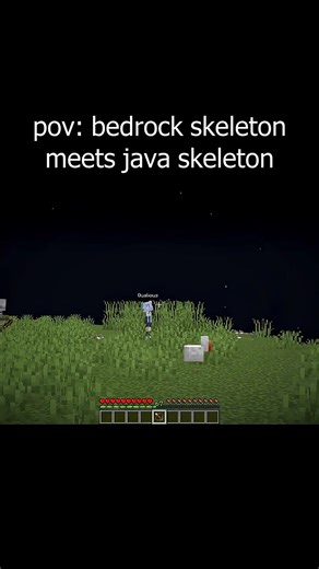 pov bedrock skeleton meets java skeleton #Minecraft #reels #MinecraftVillageBuild | Jysq Gaming