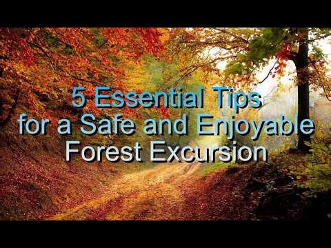 5 Essential Tips for a Safe and Enjoyable Forest Excursion