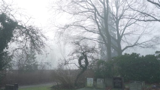 Horror, Funeral, Grave. Free Stock Video