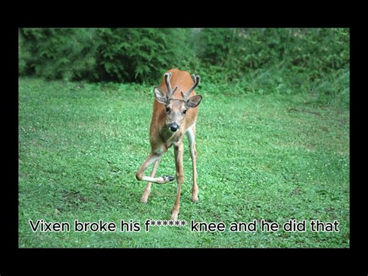 Legendary NBA Players and Their Impact