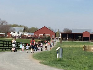 1.3K views · 33 reactions | Frying Pan Farm Park had an awesome,...