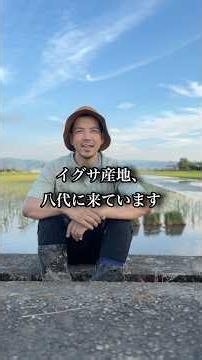 熊本地震による畳業界の変化 #熊本地震 #八代市 #畳 #日本文化 #日本