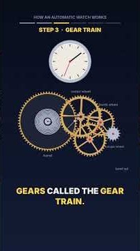 How an Automatic Watch Works: Rotor, Mainspring, Escapement, Balance