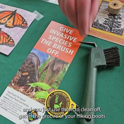 Easiest way to stop invasives